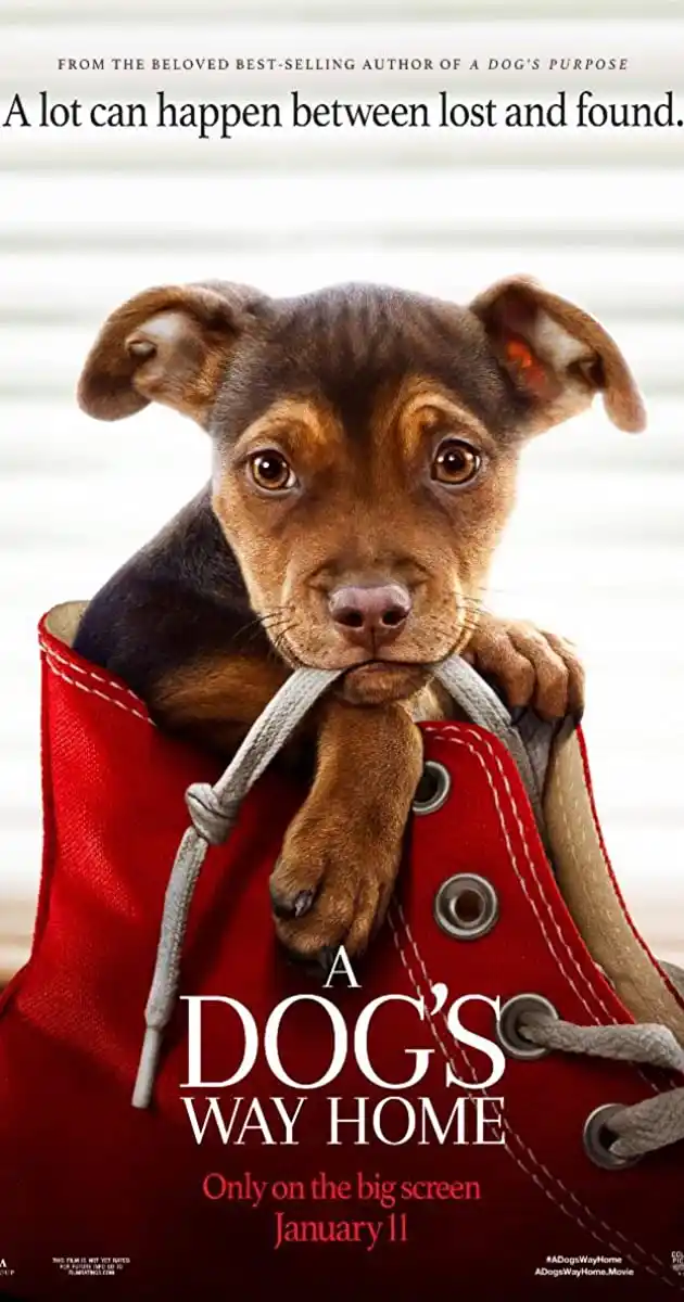 A.Dogs.Way.Home.2019